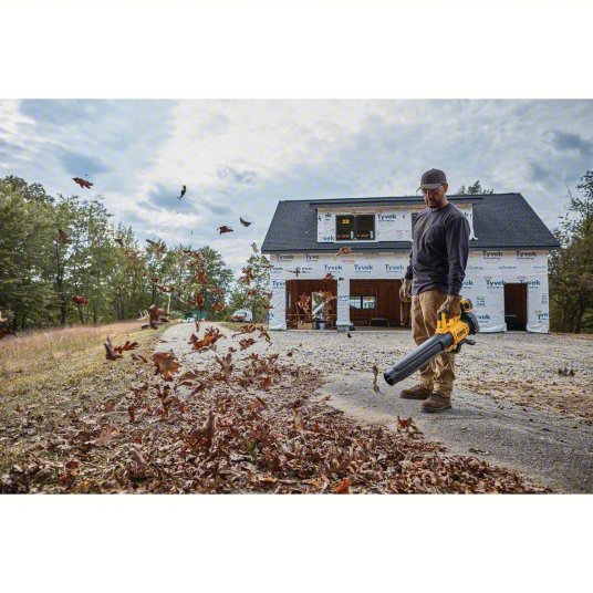 Battery-Powered Handheld Leaf Blower Kit: 20V MAX XR®, 450 cfm Max. Air Flow, 2 Speeds