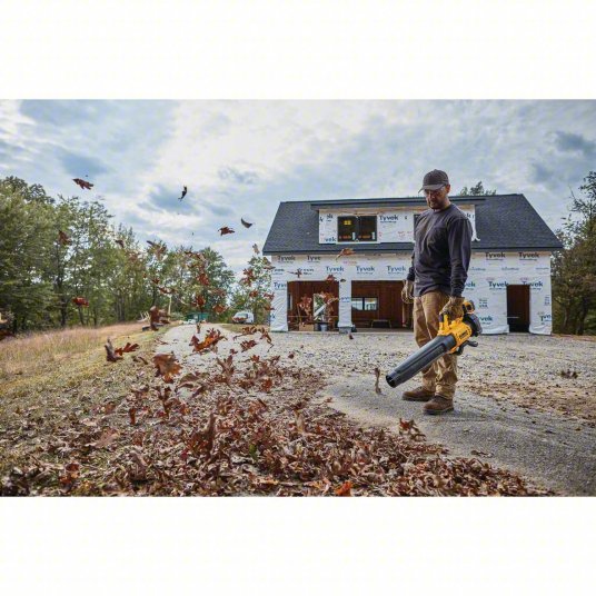 Battery-Powered Handheld Leaf Blower: 20V MAX XR®, 450 cfm Max. Air Flow, 2 Speeds