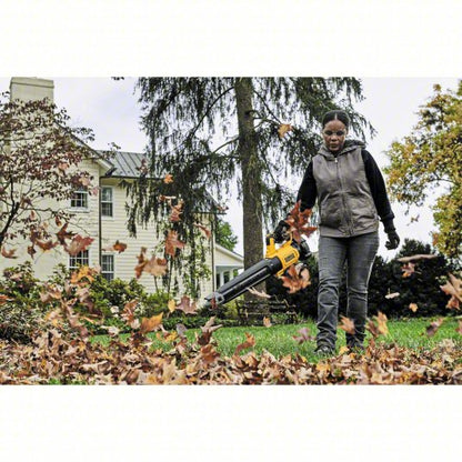 Battery-Powered Handheld Leaf Blower Kit: 20V MAX XR®, 450 cfm Max. Air Flow, 2 Speeds