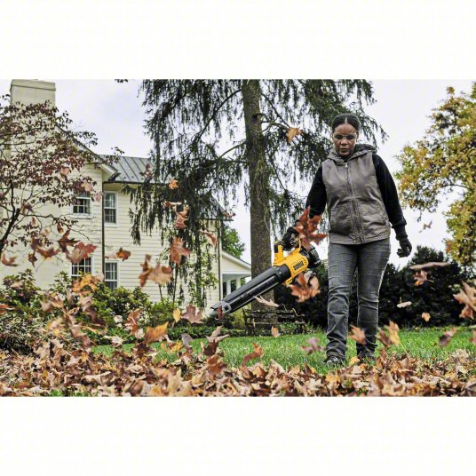 Battery-Powered Handheld Leaf Blower: 20V MAX XR®, 450 cfm Max. Air Flow, 2 Speeds